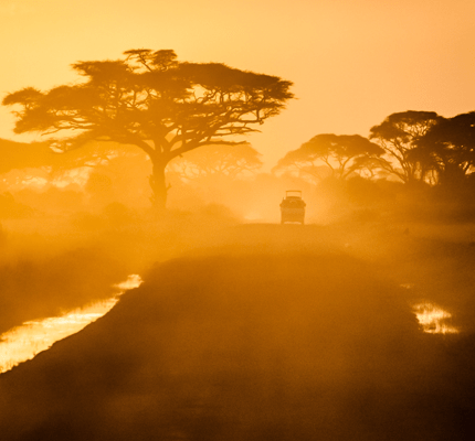 SUV on African Safari